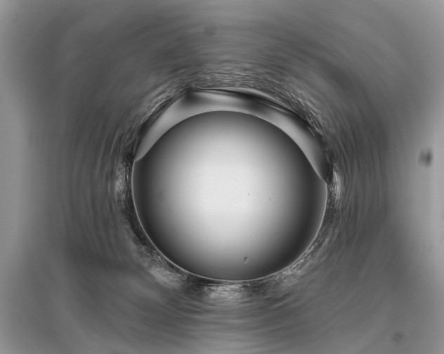 X0000096130132200801251026