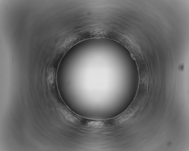 X0000096130133200801251026
