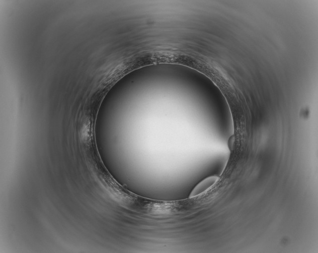 X0000096130134200801251026