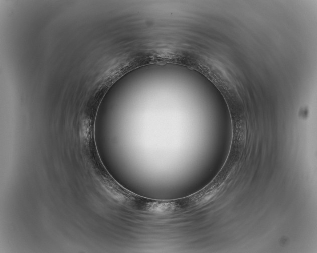 X0000096130135200801251026