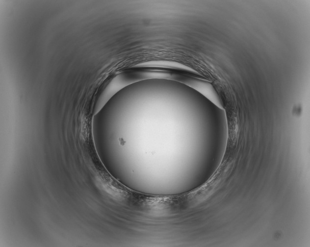 X0000096130136200801251026