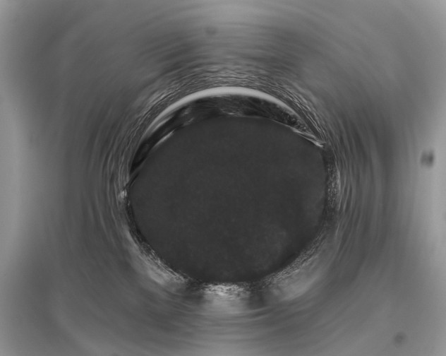 X0000096130137200801251026