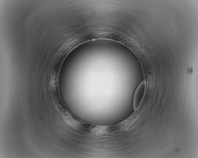 X0000096130138200801251026