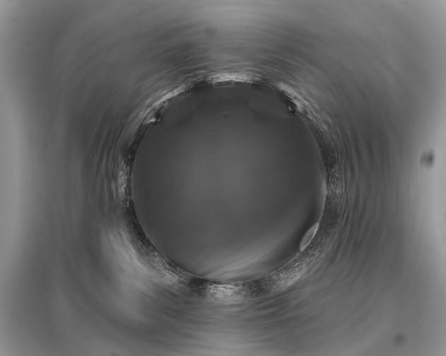 X0000096130139200801251026