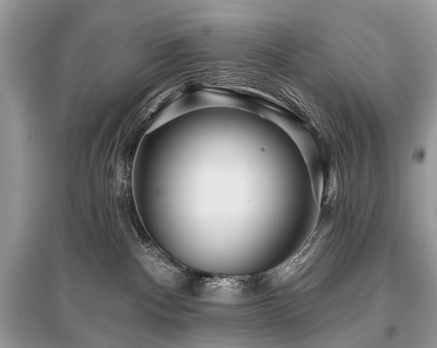 X0000096130140200801251026