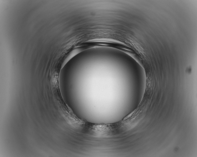 X0000096130141200801251026