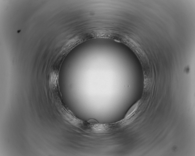 X0000096130142200801251026