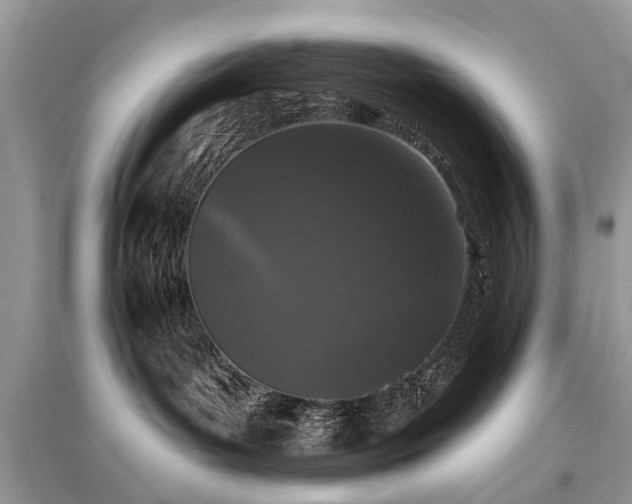 X0000096130143200801251026