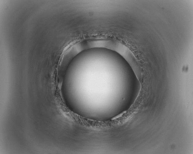 X0000096130144200801251026