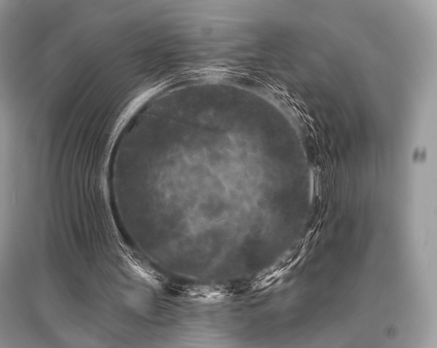 X0000096130147200801251025