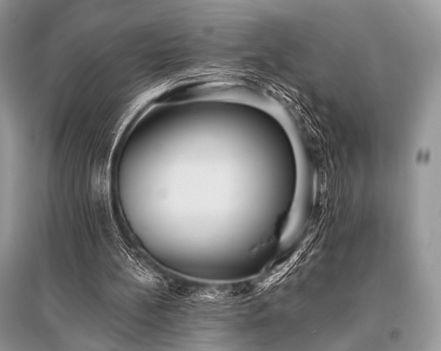 X0000096130148200801251025