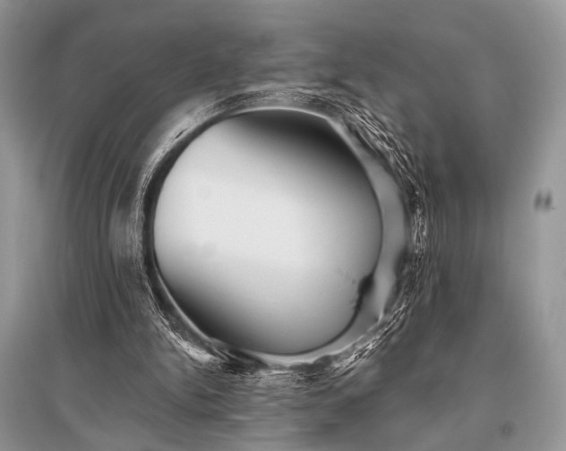 X0000096130150200801251025