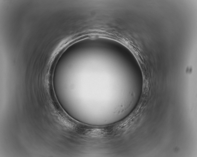 X0000096130151200801251025