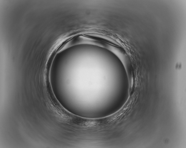 X0000096130152200801251025