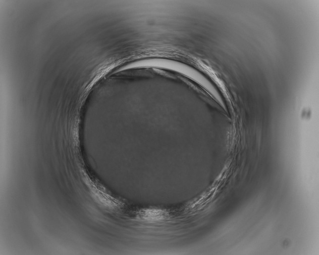 X0000096130154200801251025