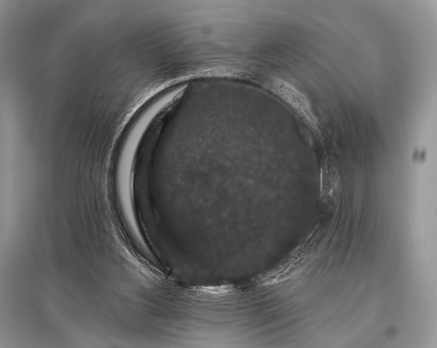 X0000096130156200801251025
