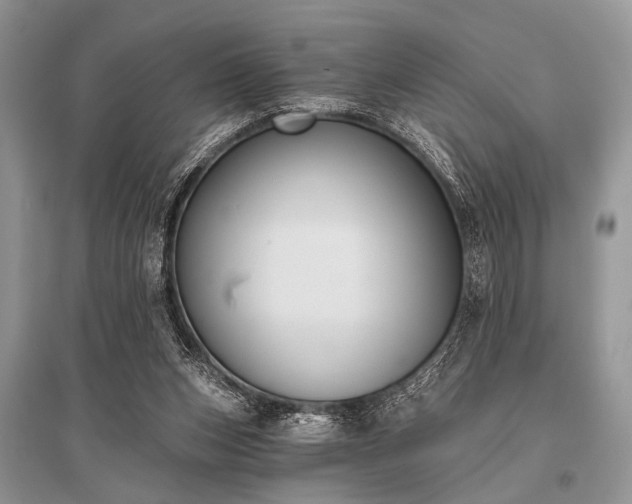 X0000096130159200801251025