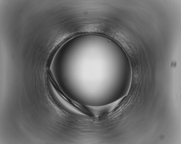 X0000096130160200801251025