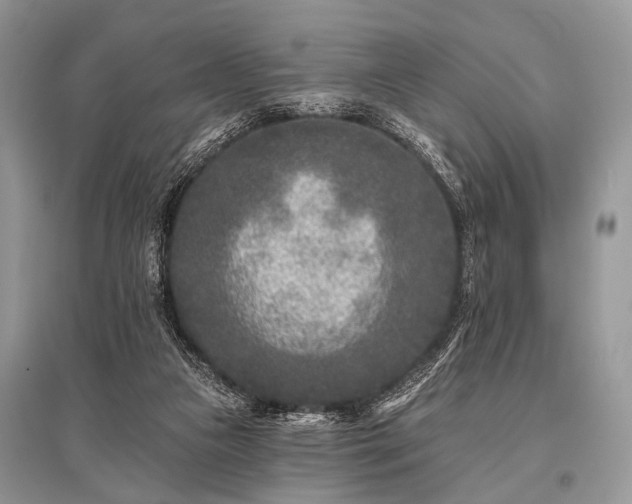 X0000096130161200801251025