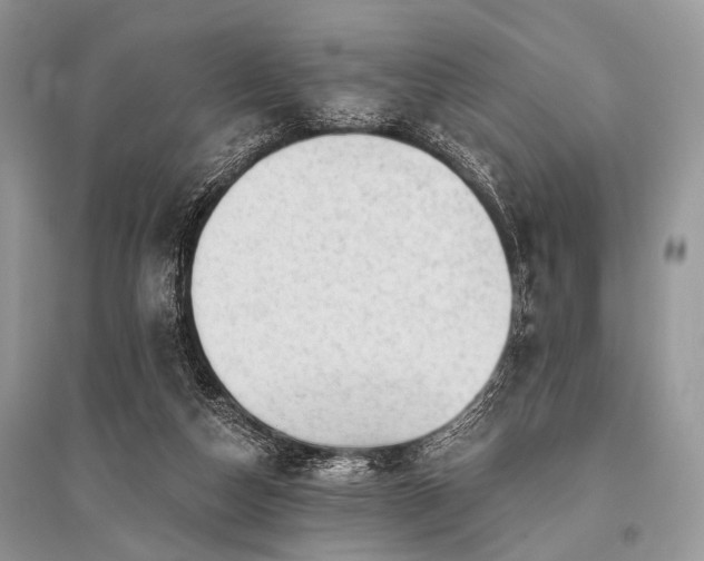X0000096130162200801251025