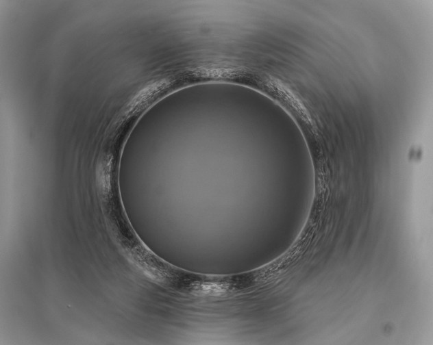 X0000096130163200801251025