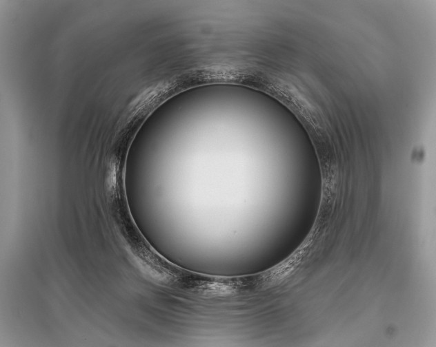 X0000096130166200801251025