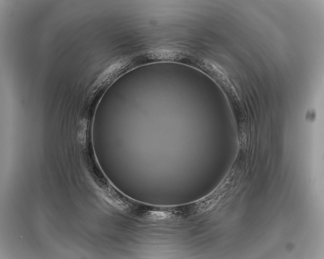 X0000096130167200801251026