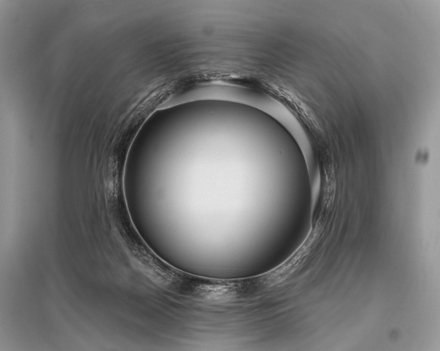 X0000096130170200801251026