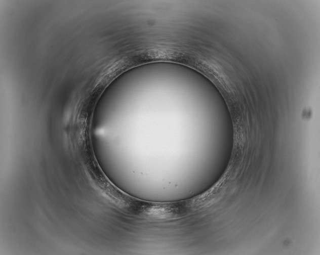 X0000096130171200801251026