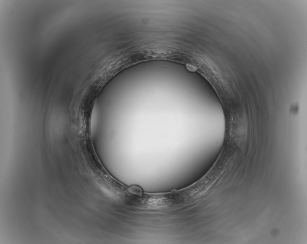 X0000096130173200801251026