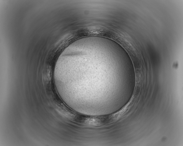 X0000096130174200801251026