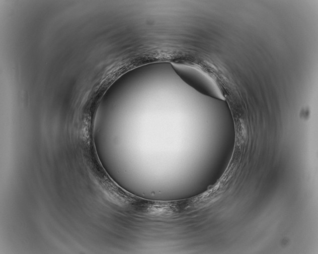 X0000096130175200801251026