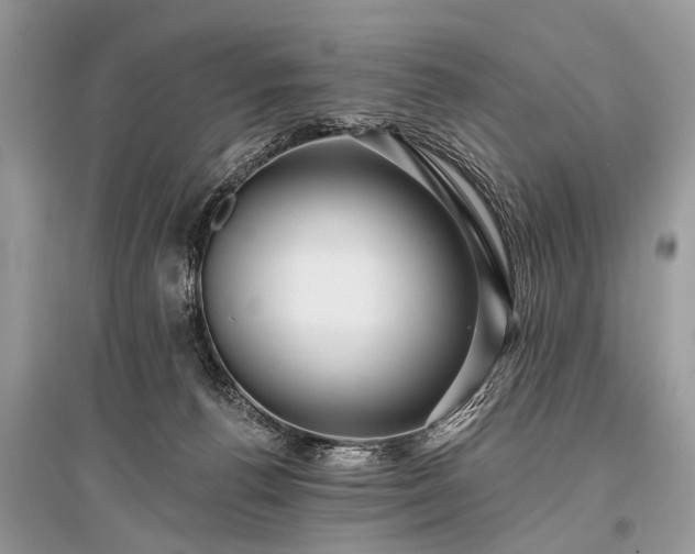 X0000096130176200801251026