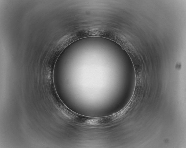 X0000096130178200801251026