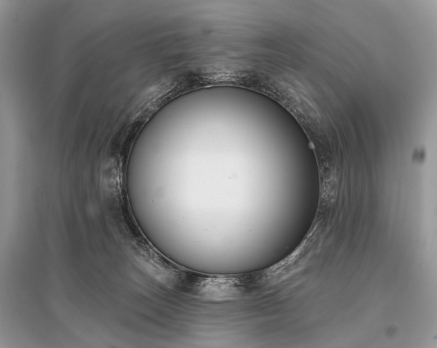 X0000096130179200801251026