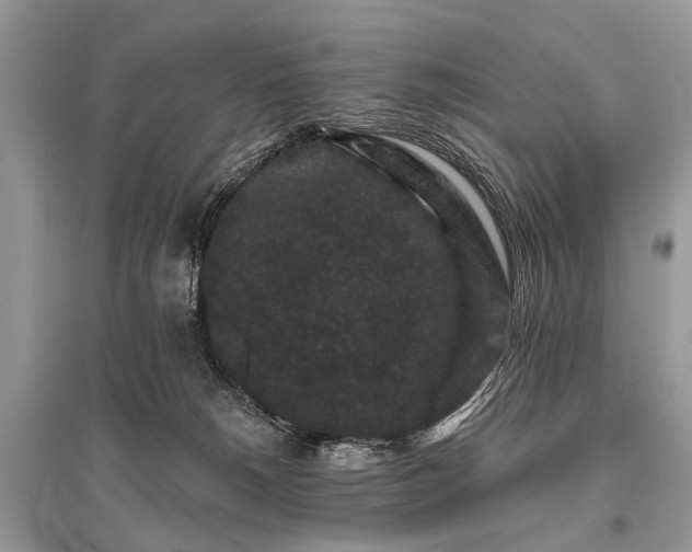 X0000096130180200801251026
