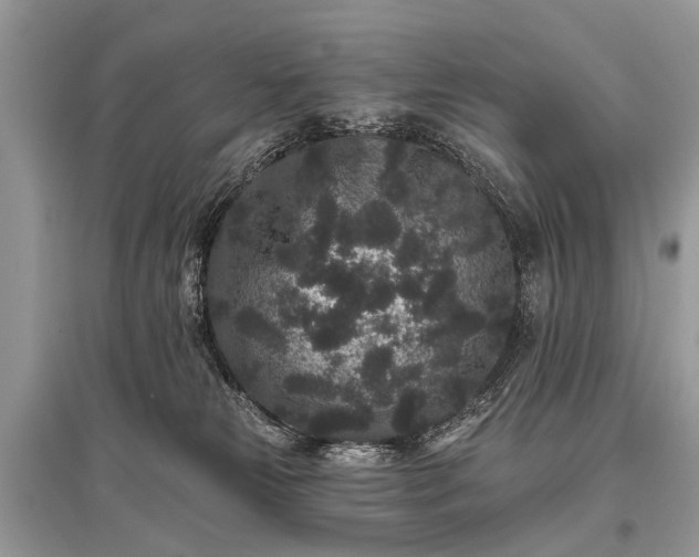 X0000096130181200801251026