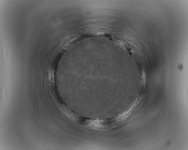 X0000096130182200801251026