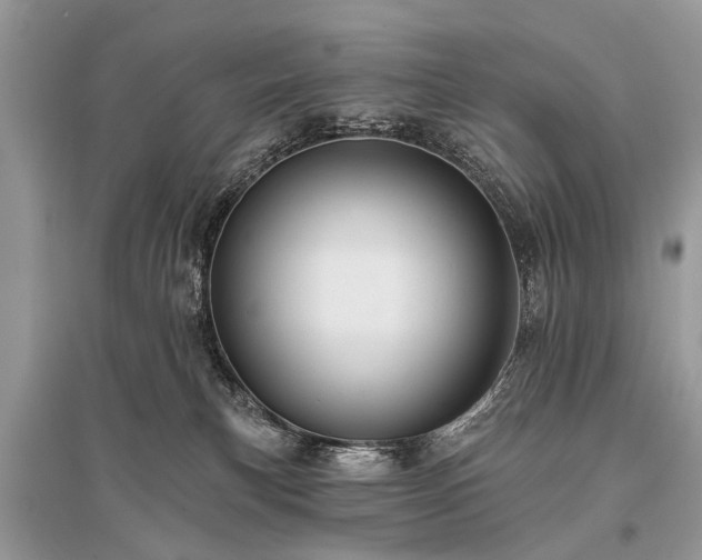 X0000096130183200801251026