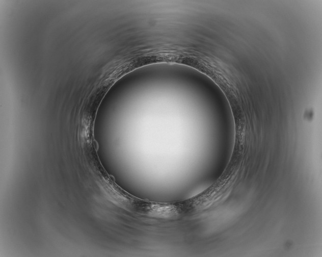X0000096130185200801251026
