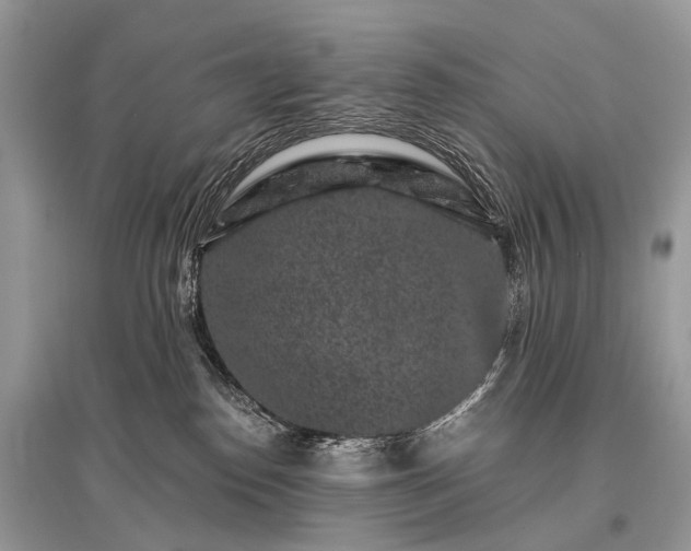 X0000096130186200801251026