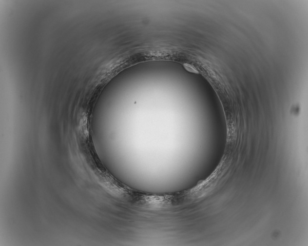 X0000096130187200801251026