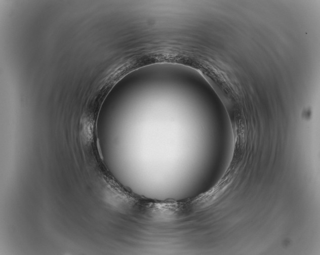 X0000096130188200801251026