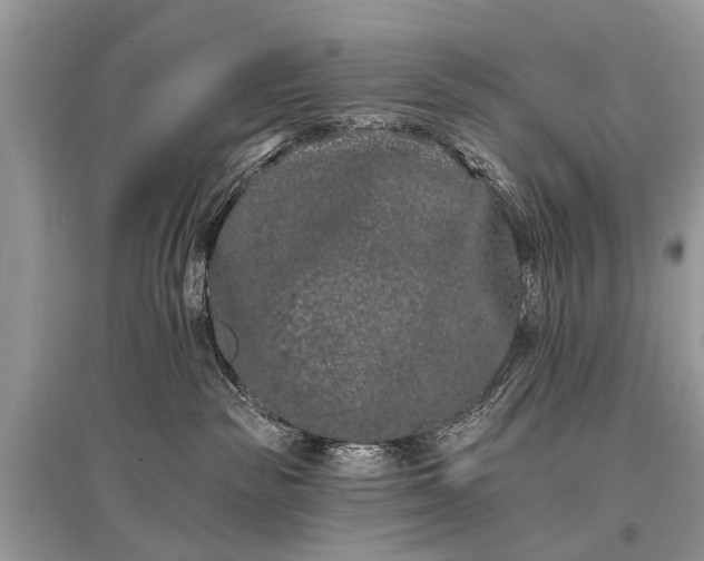 X0000096130189200801251026