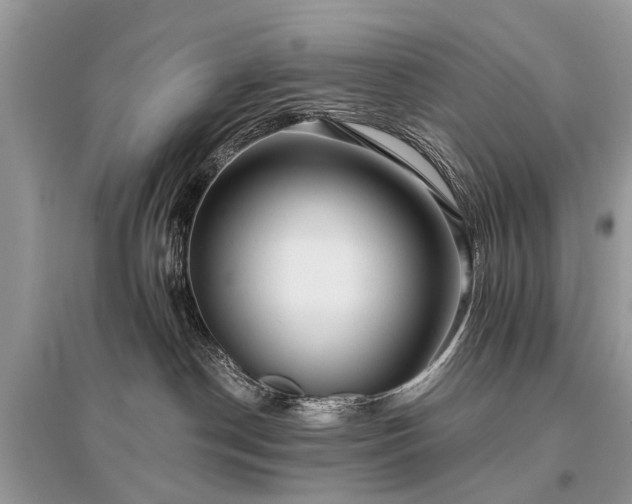 X0000096130190200801251026