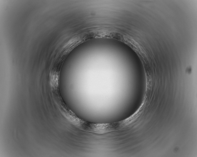 X0000096130191200801251026