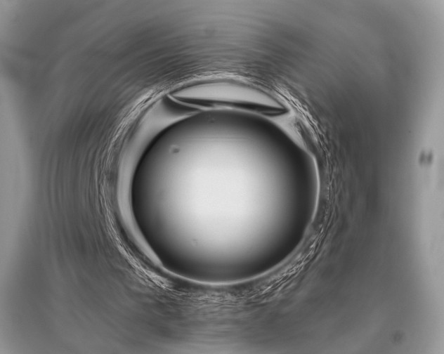 X0000096130193200801251025