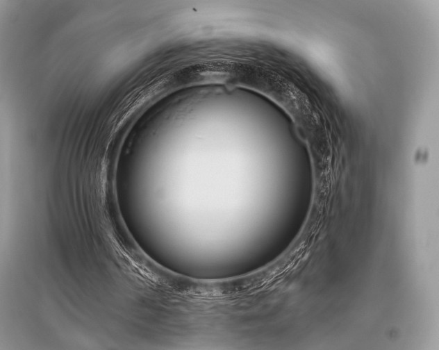 X0000096130194200801251025