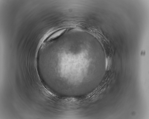 X0000096130195200801251025