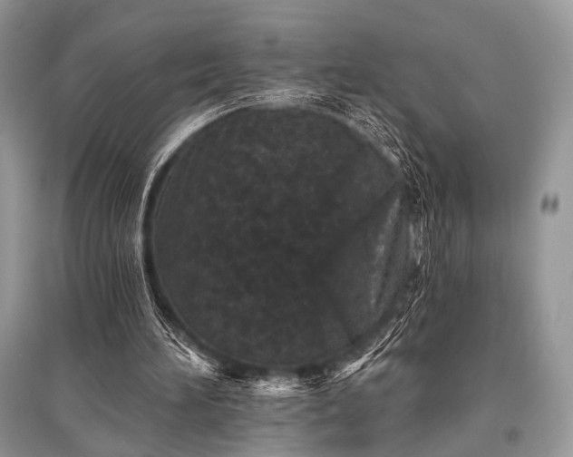 X0000096130196200801251025